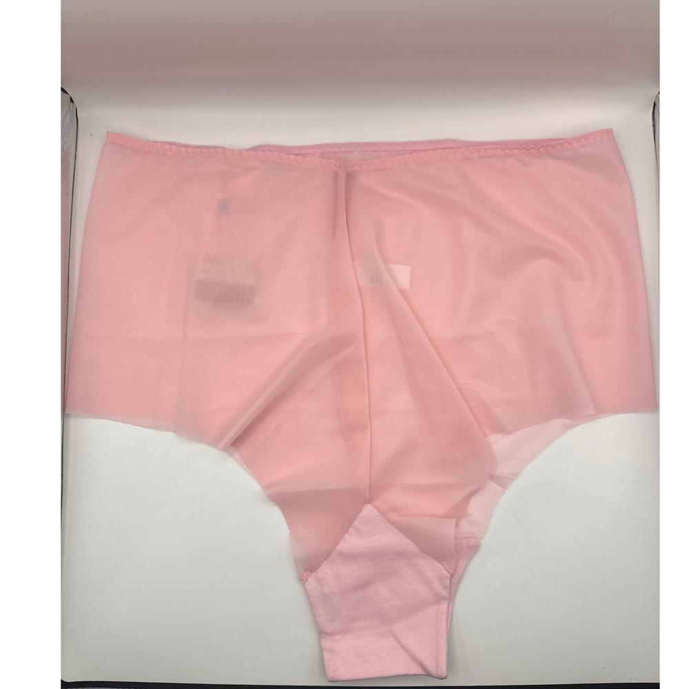 SPANX Skinny Britches Gloss Hipster Sheer Shapers Women's‎ Size 1X Pink NWT